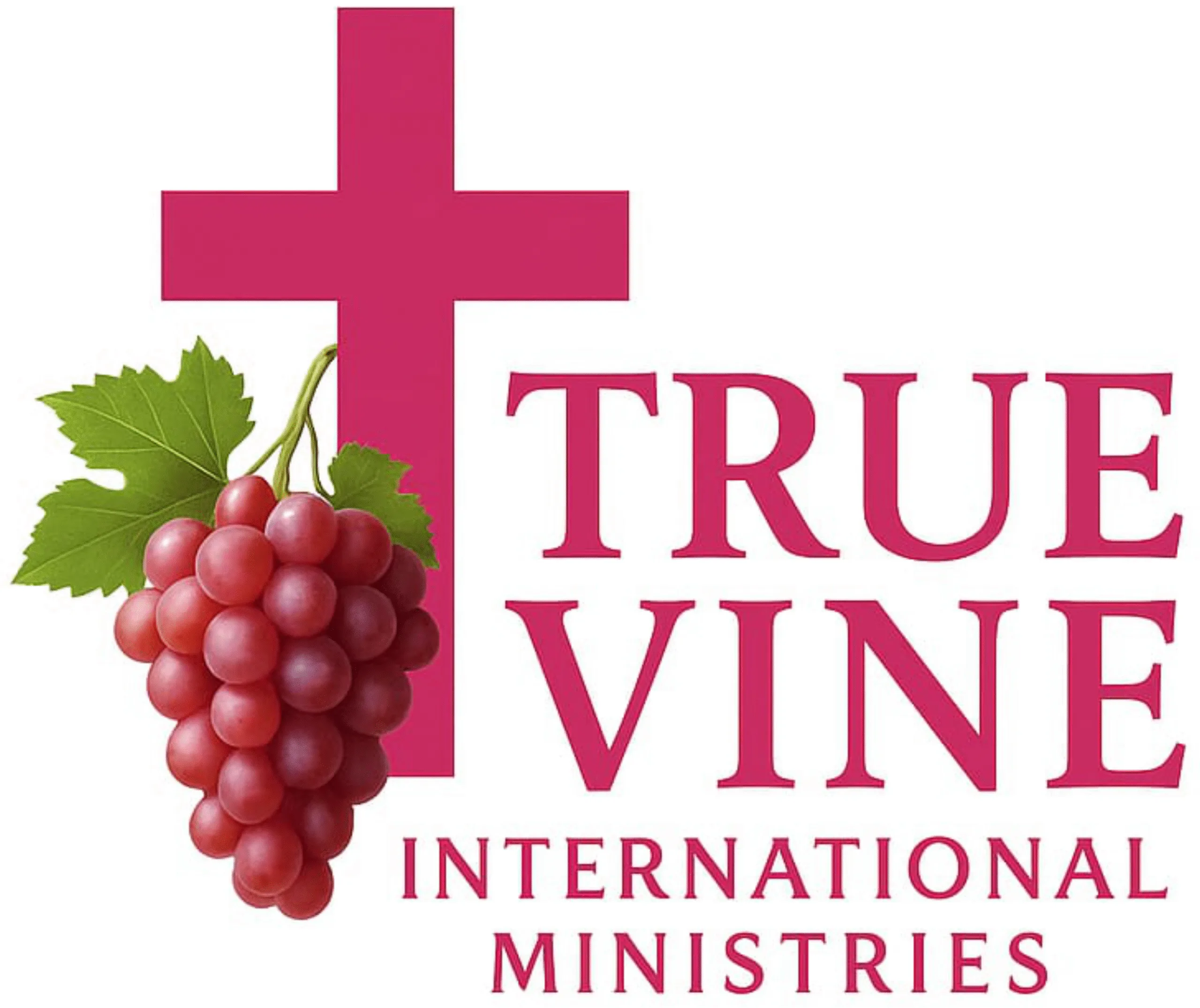tvim logo new
